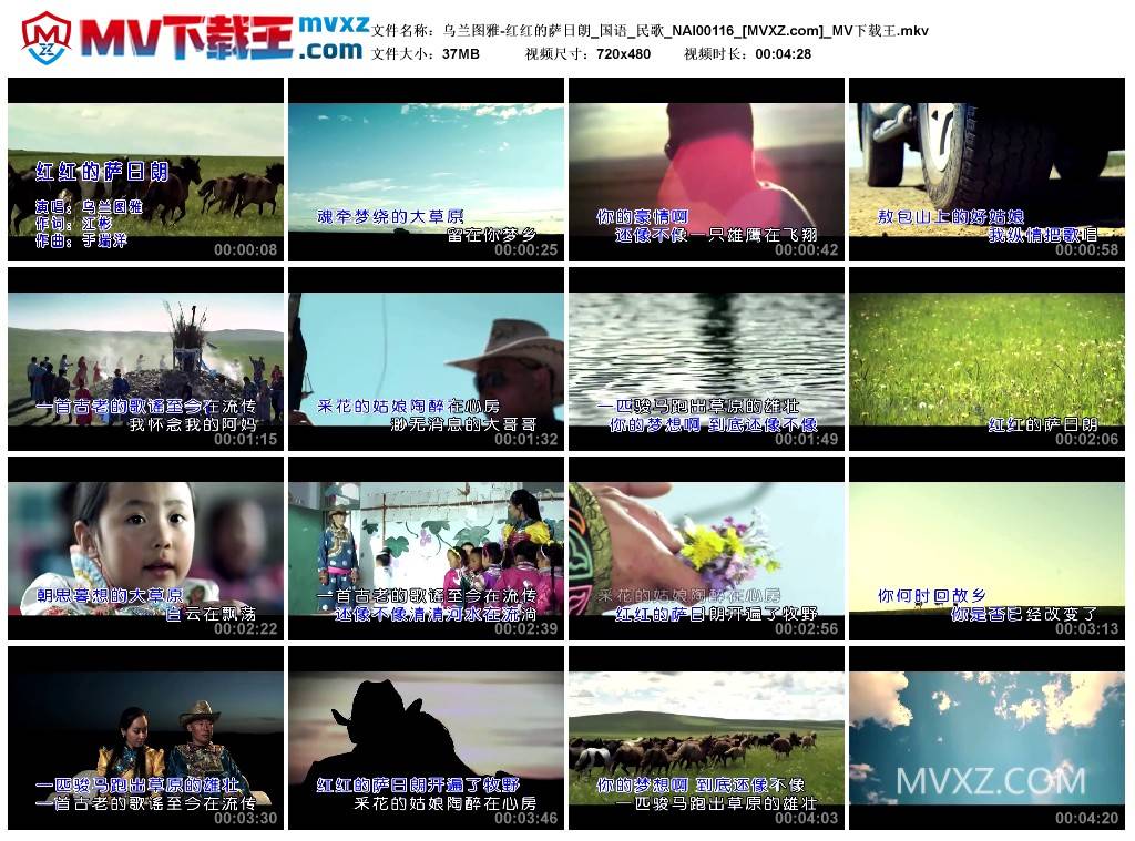 乌兰图雅-红红的萨日朗_国语_民歌_NAI00116